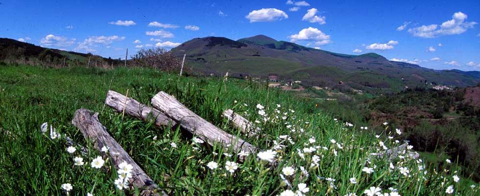 Agriturismo Sorripe Montelaterone Exterior photo